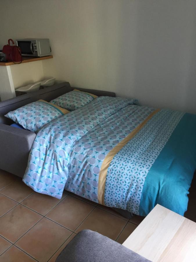 Appartement Residence Prive Avec Parking Wifi Clim Piscine アヴィニョン エクステリア 写真